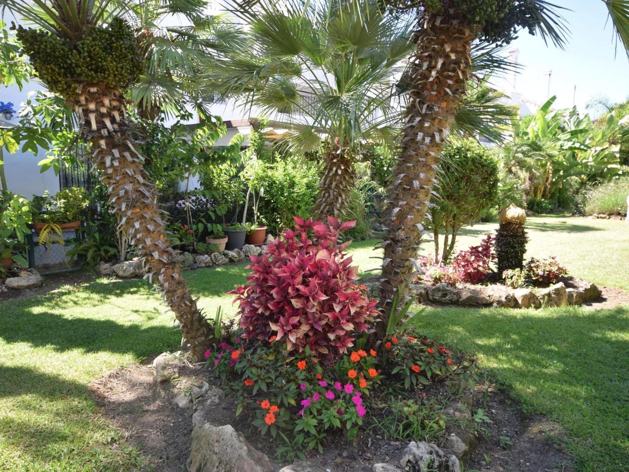 En Naranjos De Сasa de vacaciones Marbella